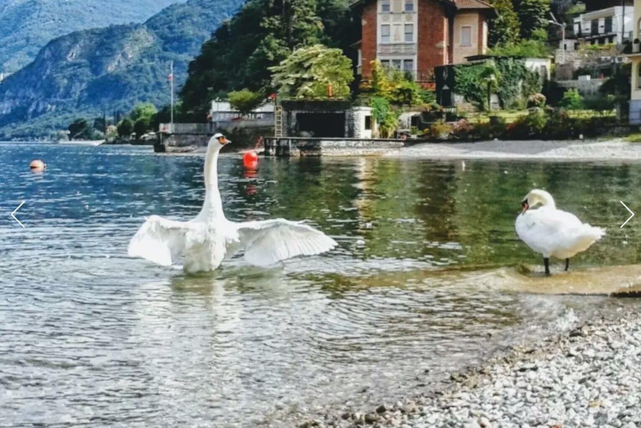 Le Grigne Guest House Oliveto Lario Exteriér fotografie